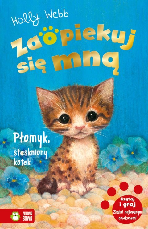 Płomyk, stęskniony kotek. Zaopiekuj się mną Płomyk, stęskniony kotek. Zaopiekuj się mną