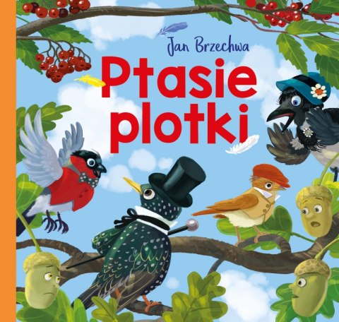 Ptasie plotki Ptasie plotki
