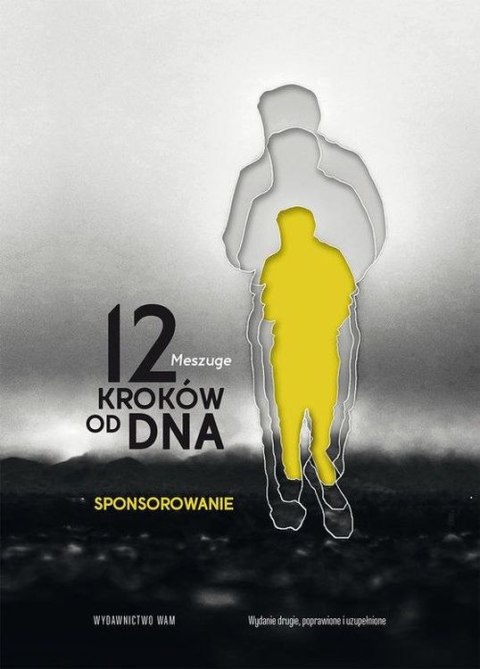 12 kroków od dna sponsorowanie wyd. 2 12 kroków od dna sponsorowanie wyd. 2
