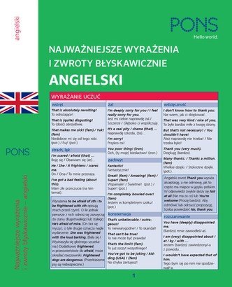 Najważniejsze wyrażenia i zwroty błyskawiczne zwroty Angielski Najważniejsze wyrażenia i zwroty błyskawiczne zwroty Angielski
