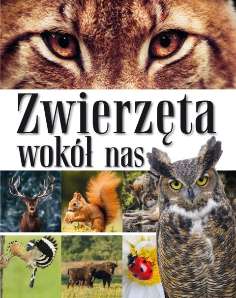 Zwierzęta wokół nas. Encyklopedia dla dzieci Zwierzęta wokół nas. Encyklopedia dla dzieci