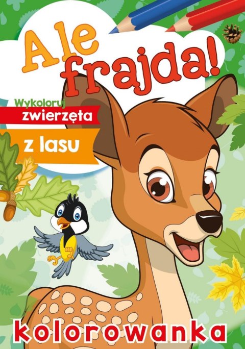 Wykoloruj zwierzęta z lasu. Ale frajda! Wykoloruj zwierzęta z lasu. Ale frajda!
