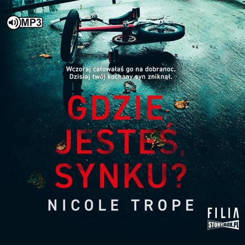 CD MP3 Gdzie jesteś, synku? CD MP3 Gdzie jesteś, synku?