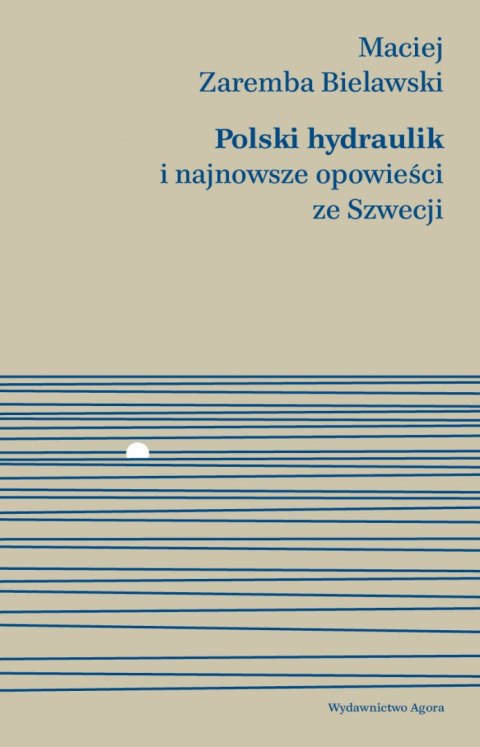 Polski hydraulik i najnowsze opowieści ze szwecji Polski hydraulik i najnowsze opowieści ze szwecji
