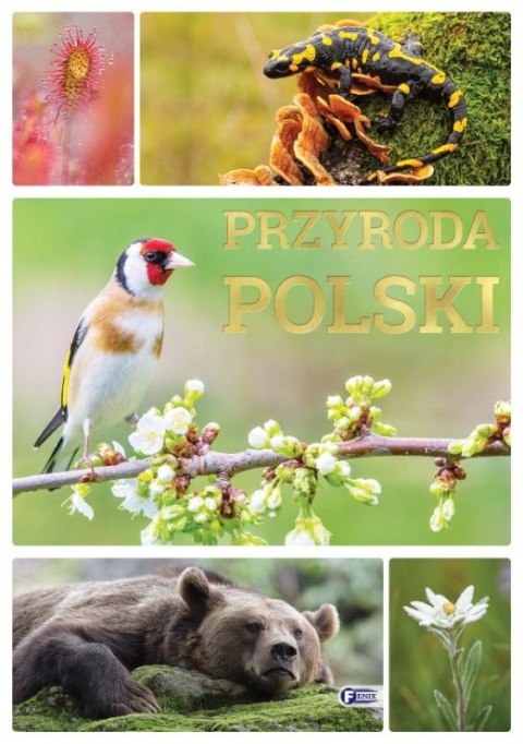 Przyroda Polski Przyroda Polski