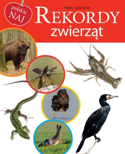 Rekordy zwierząt Rekordy zwierząt