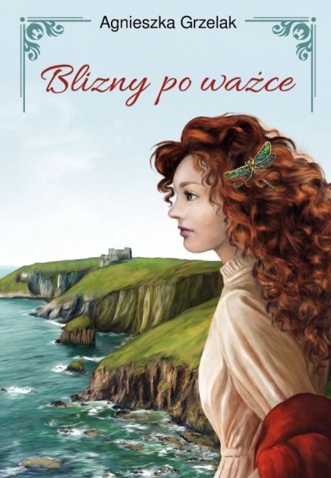 Blizny po ważce Blizny po ważce