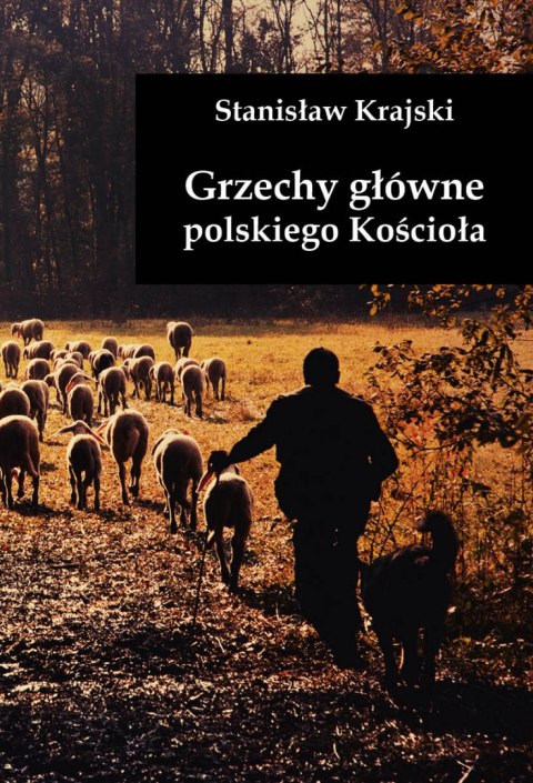 Grzechy główne polskiego Kościoła Grzechy główne polskiego Kościoła