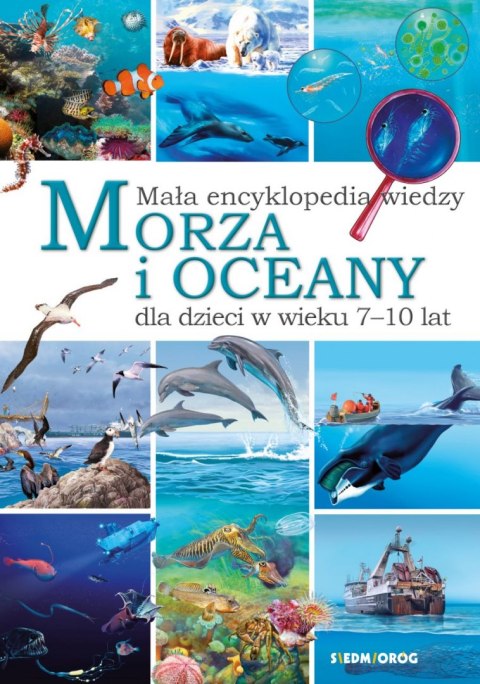 Mała encyklopedia wiedzy. Morza i oceany Mała encyklopedia wiedzy. Morza i oceany