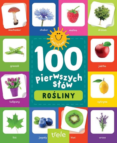Rośliny. 100 pierwszych słów Rośliny. 100 pierwszych słów