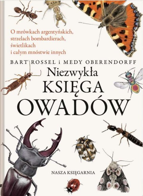 Niezwykła księga owadów Niezwykła księga owadów