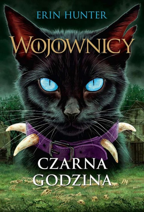 Czarna godzina. Wojownicy. Tom 6 wyd. 2022 Czarna godzina. Wojownicy. Tom 6 wyd. 2022