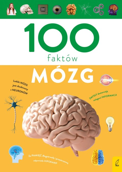 Mózg. 100 faktów Mózg. 100 faktów