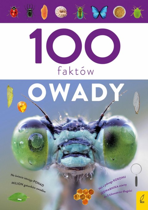 Owady. 100 faktów Owady. 100 faktów