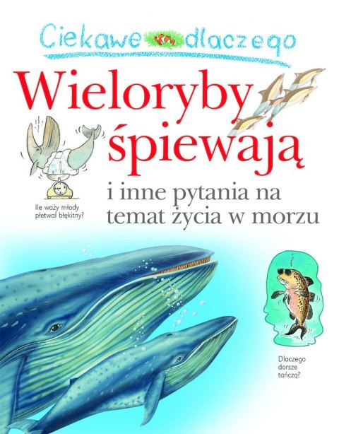 Ciekawe dlaczego wieloryby śpiewają Ciekawe dlaczego wieloryby śpiewają