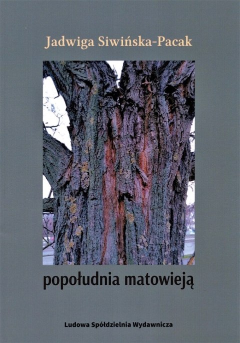 Popołudnia matowieją Popołudnia matowieją