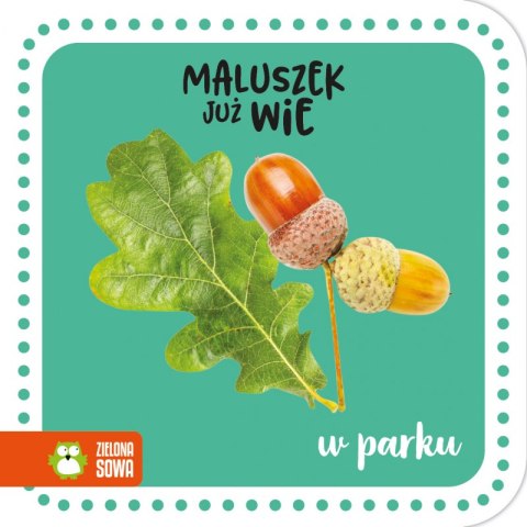 W parku. Maluszek już wie W parku. Maluszek już wie
