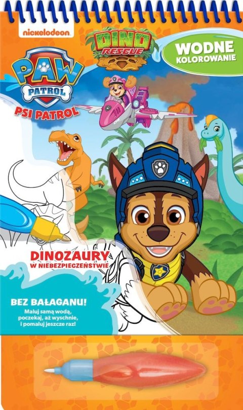Dinozaury w niebezpieczeństwie. Psi Patrol. Wodne kolorowanie Dinozaury w niebezpieczeństwie. Psi Patrol. Wodne kolorowanie