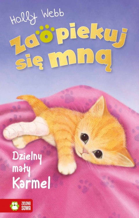 Dzielny mały Karmel. Zaopiekuj się mną Dzielny mały Karmel. Zaopiekuj się mną