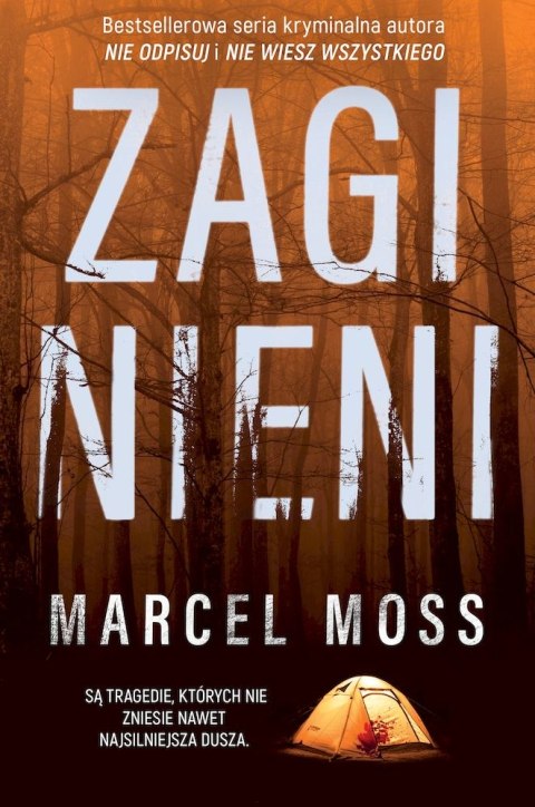 Zaginieni wyd. specjalne Zaginieni wyd. specjalne