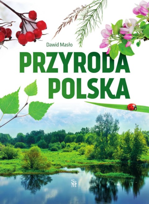 Przyroda polska Przyroda polska