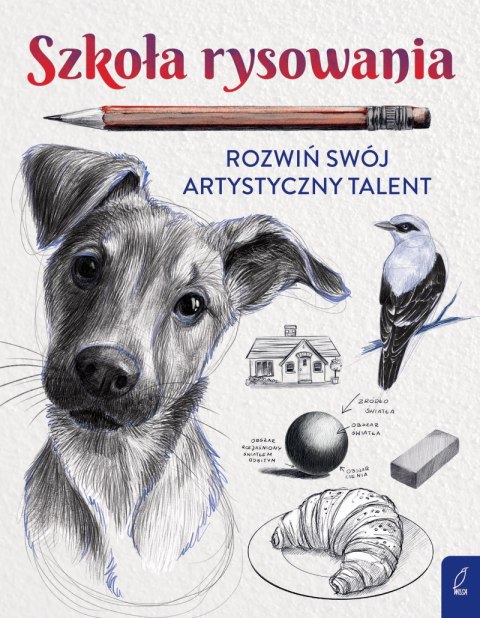 Szkoła rysowania. Rozwiń swój artystyczny talent Szkoła rysowania. Rozwiń swój artystyczny talent