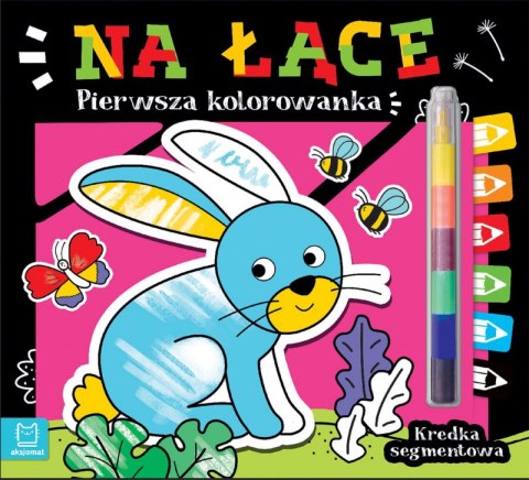 Na łące. Kredka segmentowa. Pierwsza kolorowanka Na łące. Kredka segmentowa. Pierwsza kolorowanka
