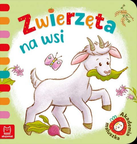 Zwierzęta na wsi. Akademia maluszka Zwierzęta na wsi. Akademia maluszka