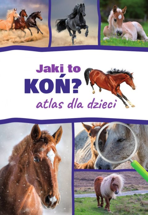 Jaki to koń? Atlas dla dzieci Jaki to koń? Atlas dla dzieci