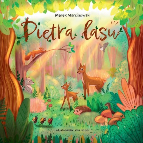 Piętra lasu Piętra lasu