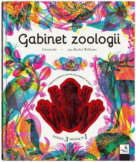 Gabinet zoologii Gabinet zoologii