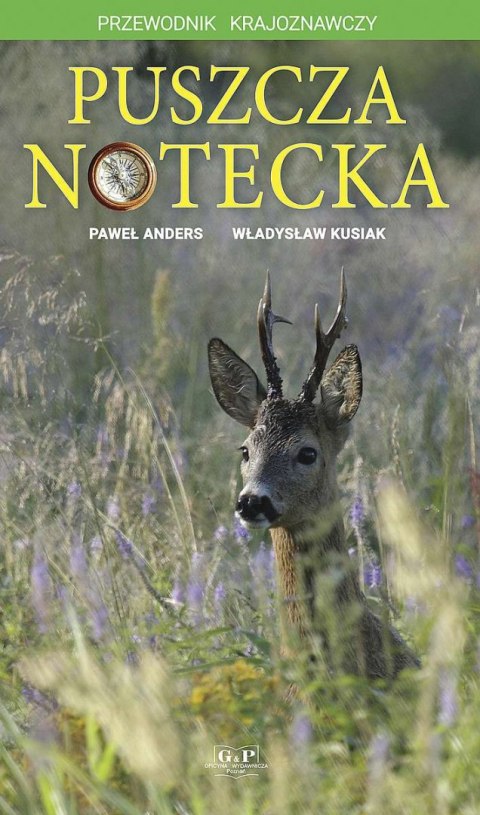 Puszcza Notecka. Przewodnik krajoznawczy Puszcza Notecka. Przewodnik krajoznawczy