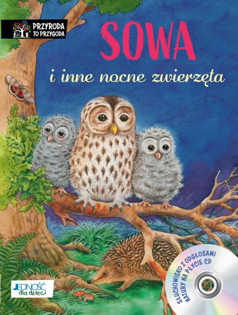 Sowa i inne nocne zwierzęta Sowa i inne nocne zwierzęta
