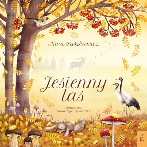 Jesienny las Jesienny las