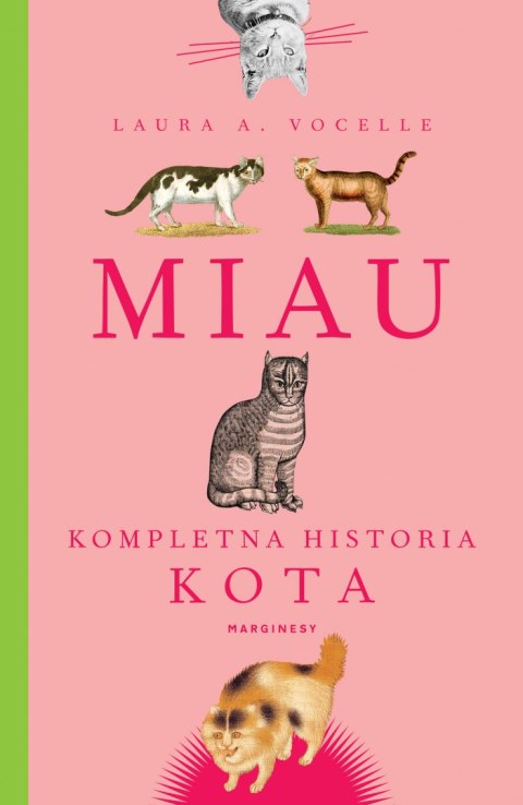 Miau. Kompletna historia kota Miau. Kompletna historia kota