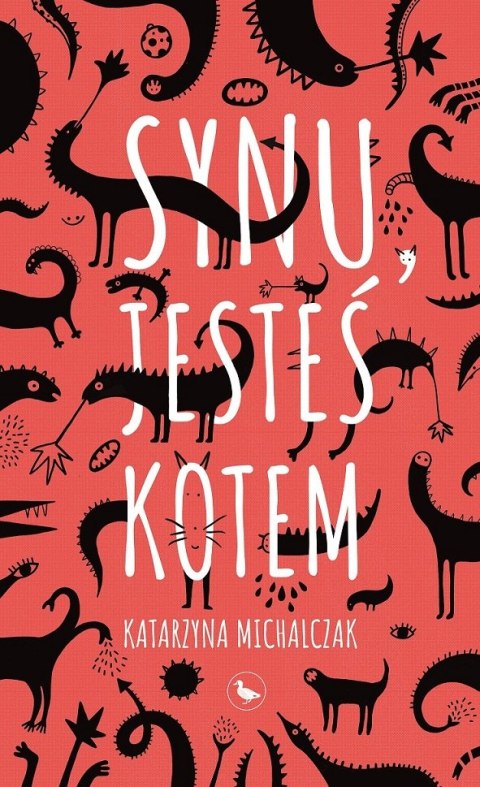 Synu, jesteś kotem Synu, jesteś kotem