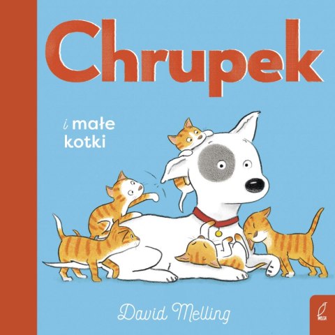 Chrupek i małe kotki Chrupek i małe kotki