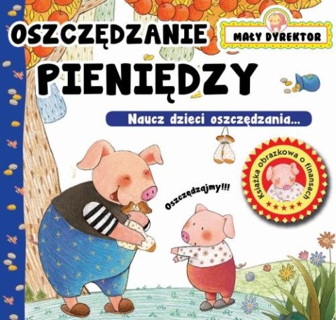 Oszczędzanie pieniędzy. Mały dyrektor Oszczędzanie pieniędzy. Mały dyrektor