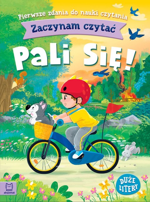 Pali się! Zaczynam czytać. Duże litery. Pierwsze zdania do nauki czytania Pali się! Zaczynam czytać. Duże litery. Pierwsze zdania do nauki czytania