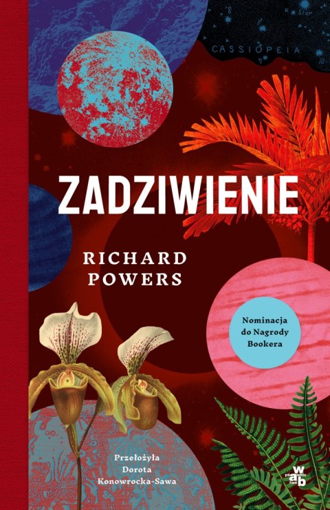 Zadziwienie Zadziwienie