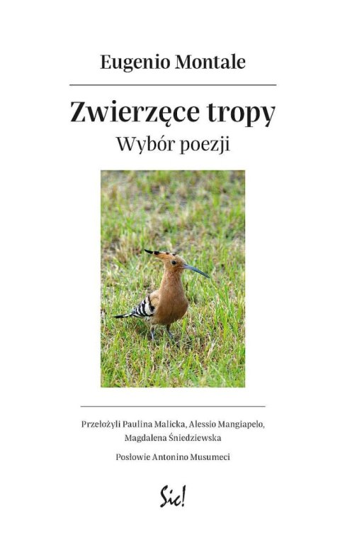 Zwierzęce tropy Zwierzęce tropy