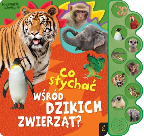 Co słychać wśród dzikich zwierząt? Co słychać... Co słychać wśród dzikich zwierząt? Co słychać...
