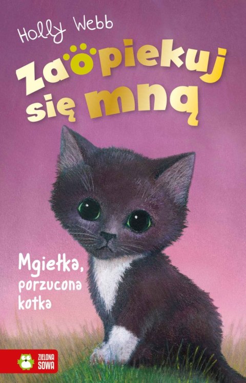 Mgiełka, porzucona kotka. Zaopiekuj się mną Mgiełka, porzucona kotka. Zaopiekuj się mną