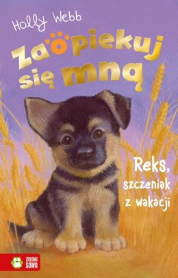 Reks, szczeniak z wakacji. Zaopiekuj się mną