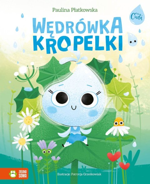 Wędrówka kropelki. Mikrocuda Wędrówka kropelki. Mikrocuda