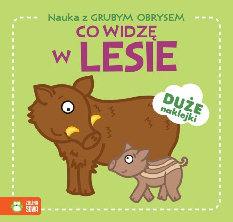 Co widzę w lesie. Nauka z grubym obrysem Co widzę w lesie. Nauka z grubym obrysem