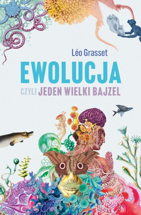 Ewolucja, czyli jeden wielki bajzel Ewolucja, czyli jeden wielki bajzel