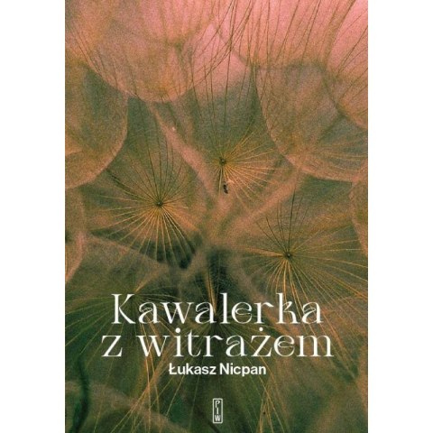 Kawalerka z witrażem Kawalerka z witrażem