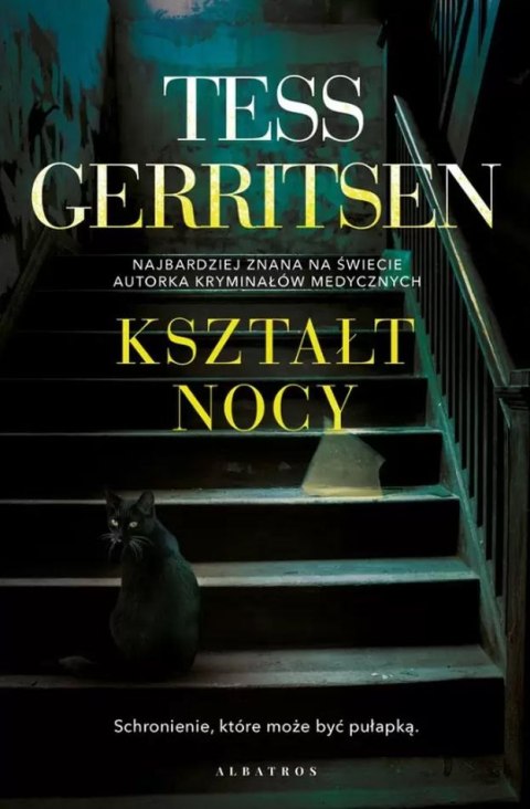 Kształt nocy Kształt nocy