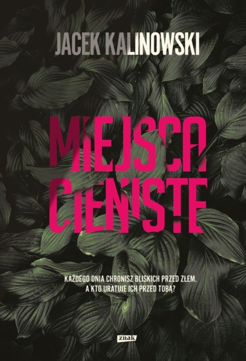 Miejsca cieniste Miejsca cieniste
